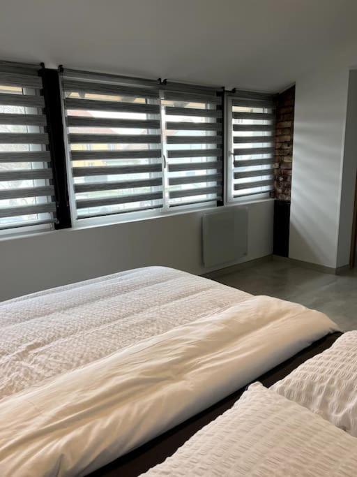 Appartement Duplex Avec Jardin Ingersheim Bagian luar foto